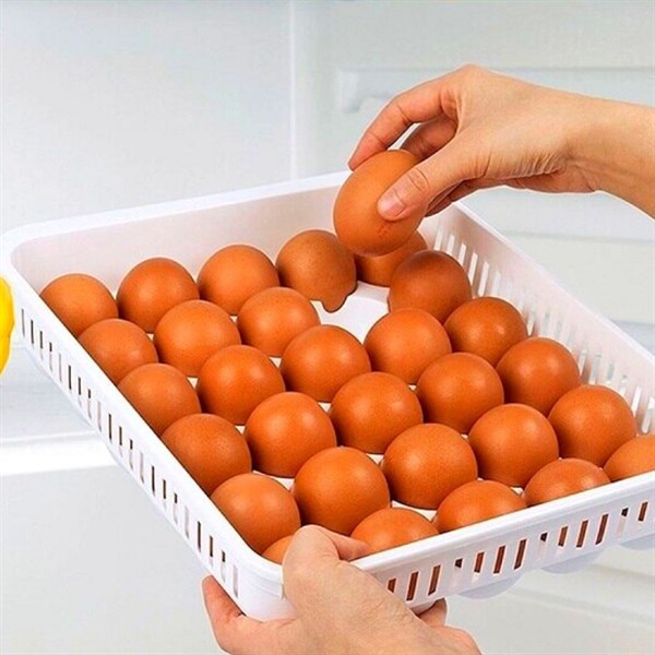 BUFFER®%2015li Yumurta%20Saklama%20Kabı