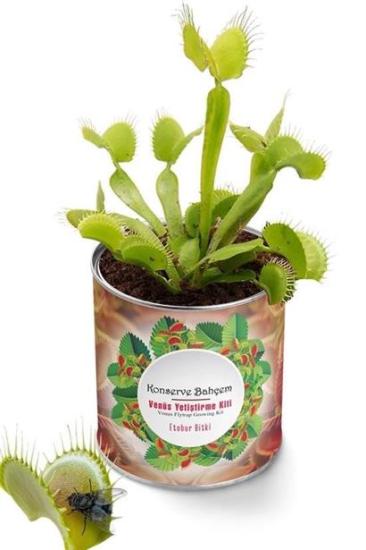 BUFFER® Konserve Bahçem Venüs Et Obur Bitki Yetiştirme Kiti