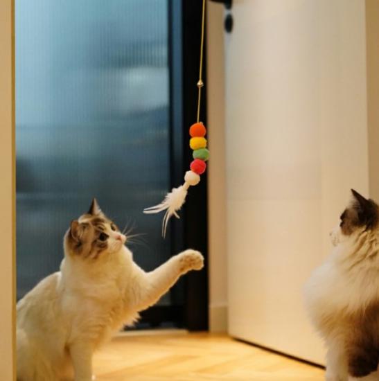 Elastik Kendinden Yapışkanlı Kedi Oyun Oltası